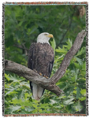 Bald Eagle Photo Blanket