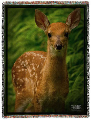 White-Tailed Deer Fawn Photo Blanket
