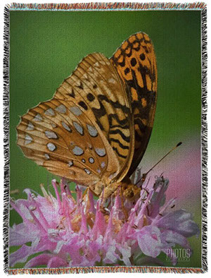 Fritillary Photo Blanket
