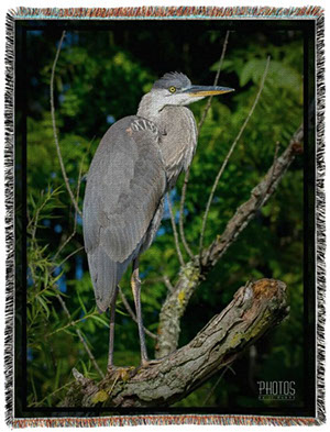 Great Blue Heron Photo Blanket