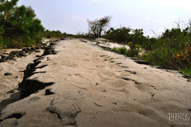 Assateague Island National Seashore