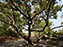 Assateague Island National Seashore
