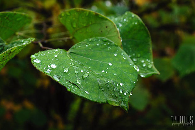 Horseshoe Curve National Historic Landmark