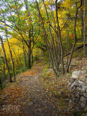 Fall