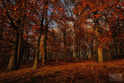 Fall