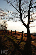 Fall