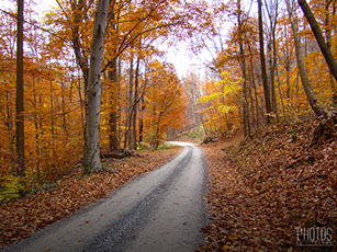 Fall
