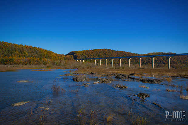 Northern Water Snake