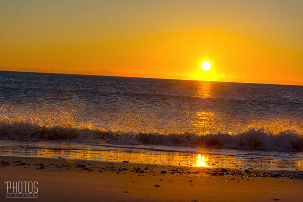Chincoteague Island National Wildlife Refuge