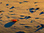 Chincoteague Island National Wildlife Refuge