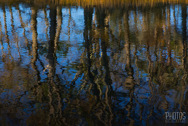 Chincoteague Island National Wildlife Refuge