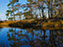 Chincoteague Island National Wildlife Refuge