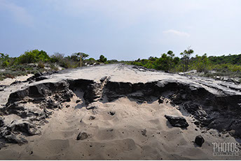 Assateague Island National Seashore