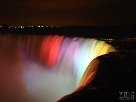 Northern Water Snake