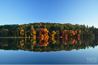 Fall