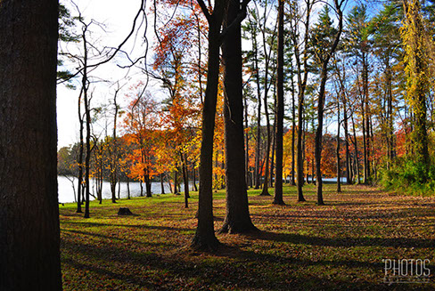 Fall