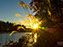 Fall
