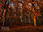 Fall