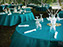 Shawnee & Vinnie, The Edgewater Inn
